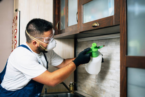 Best Affordable Exterminators  in Revere, MA