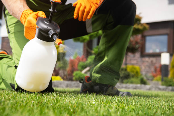 Best Mosquito Control Services  in Revere, MA