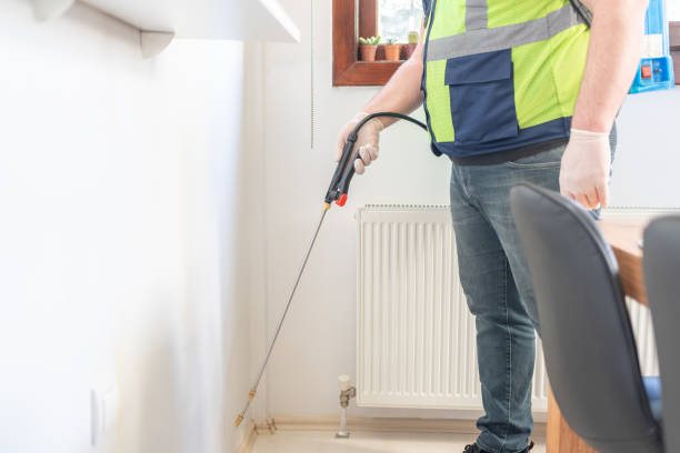 Best Flea Control Services  in Revere, MA