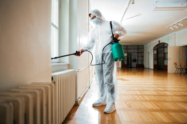 Flea Control Services in Revere, MA